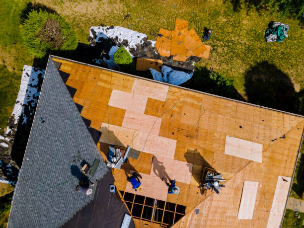 Best Roof Gutter Cleaning  in Wautoma, WI